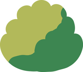 Bushy Top Tree with Open Foliage