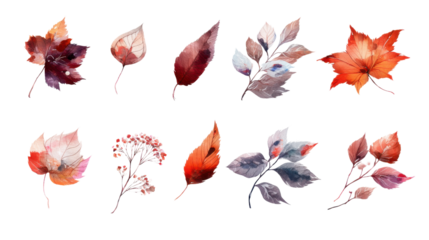 a different set of watercolor winter leaf elements