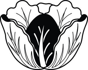 Cabbage Silhouette Vector Icon – Black and White Leafy Vegetable Icon for Food Illustrations