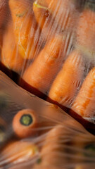 Fresh carrots packed in plastic, close-up view highlighting texture and color. Ideal for themes of food, freshness, and packaging