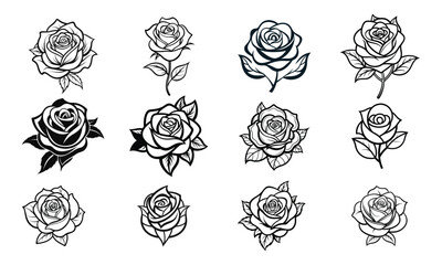 Set of black and white roses, a floral vector 