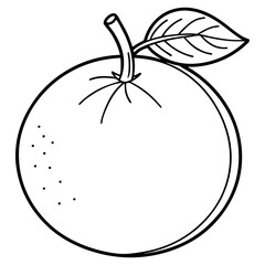 
Orange fruit line art illustration