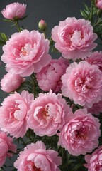 Full bloom pink peonies, creating a soft and elegant backdrop  ,  soft pink,  floral design
