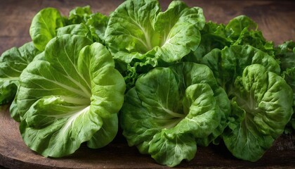 vegetable, leaf, head, vegetarian, ingredient, isolated, raw, salad, white, cabbage, healthy, agriculture, diet, food, fresh, organic, plant, savoiard, lettuce, nourishment, nature, closeup, garden, 1