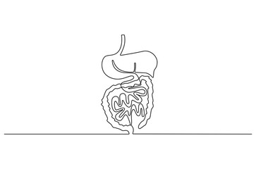 Continuous one line drawing of Human digestion. Single line drawing illustration of Human Digestive. Human anatomical concept vector art. Doodle line illustration.