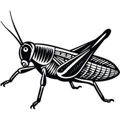 Stylized Black and White Grasshopper Illustration