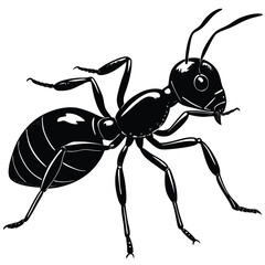 Black Ant Illustration Detailed Silhouette Vector Graphic