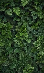Lush green tropical leaves form a dense carpet on the forest floor , texture, plant, tropical