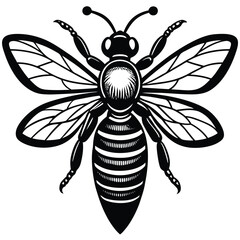 Black and White Detailed Illustration of a Honeybee