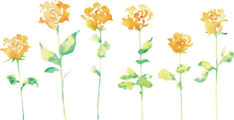 水彩画。水彩タッチの黄色い薔薇イラスト。父の日の黄色い薔薇フレーム。Watercolor painting. Yellow rose illustration with watercolor touch. Father's Day yellow rose frame.