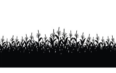 Corn field silhouette. This image shows a black silhouette of a cornfield, also referred to as maize crops, depicting tall stalks and leafy plants. Vector clipart illustration design.
