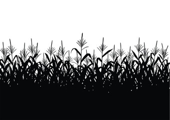 Cornfield silhouette. This image shows a black silhouette of a cornfield, symbolizing maize crops with husks and leaves in a rural setting. Vector clipart illustration design.