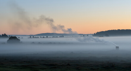Fototapeta premium Mystical Dawn Haze Engulfing Rural Landscape With Trees Silhouetted At Horizon