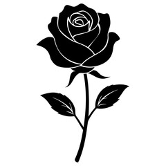 black silhouette of a roses, flower