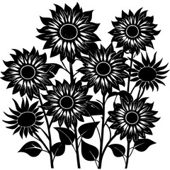 Fototapeta premium black silhouette of sunflowers flower 