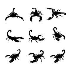 silhouette animal scorpion collection on white background