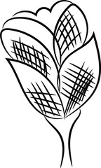 Abstract Hand Drawn Black and White Flower Illustration