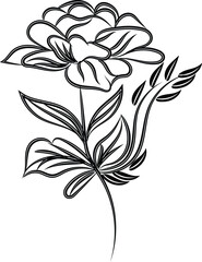 Obraz premium Elegant Black and White Line Art Flower Illustration