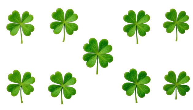 four leaf clover