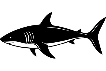 Obraz premium A powerful, monochromatic representation of a shark with its distinctive fins and streamlined body, evokes a sense of awe and the raw power of the ocean. generative AI