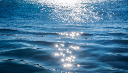 Fototapeta premium 煌めく水面