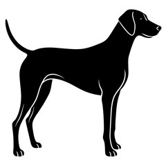 Beagle Dog silhouette vector illustration