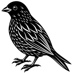 Fototapeta premium black silhouette of a bird animal
