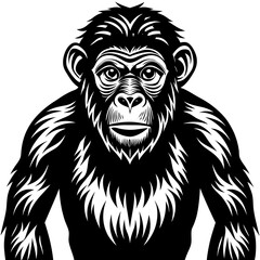 Obraz premium black silhouette of a Monkey animal