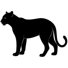 Fototapeta premium black silhouette of a Jaguar animal 