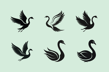 Coscoroba Swan bird, silhouette vector illustration