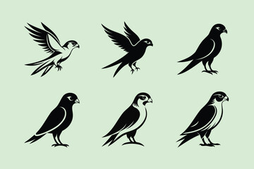 Obraz premium Pygmy Falcon bird, silhouette vector, illustration