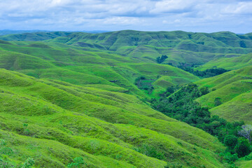 Naklejka premium Bukit Wairinding in Sumba a lust green hill in east of Indonesia