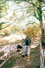 Little girl stands next to her dad, watching him stroke a pony in a paddock on a ranch.