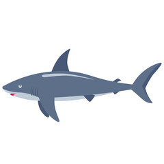shark vector illustration clipart