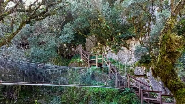 Suspension bridge and wooden walkways on the slopes of the Rio de Mouros provide a unique experience for visitors who take this walking route in Condeixa-a-Nova