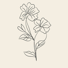 Elegant Line Art Floral Illustration Two Flowers Leaves