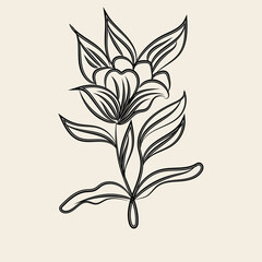Obraz premium Elegant Black Line Art Flower Drawing Botanical Illustration