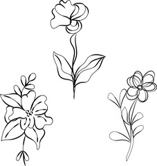 Three Elegant Line Art Floral Designs Botanical Illustrations