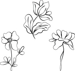 Three Elegant Line Art Floral Designs Botanical Illustrations