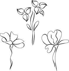 Three Elegant Line Art Floral Designs Botanical Illustrations