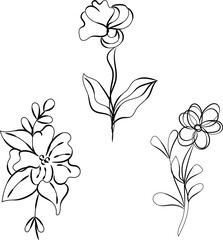 Three Elegant Line Art Floral Designs Botanical Illustrations