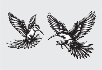 Obraz premium Illustration of a pair of Hummingbirds flying with a bird in its beak