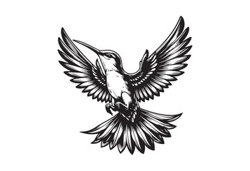 Fototapeta premium Illustration of a hummingbird flying viewed from side on isolated background done in black and white.
