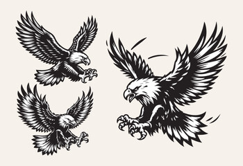 Eagle. Set of vector illustrations in black and white colors.