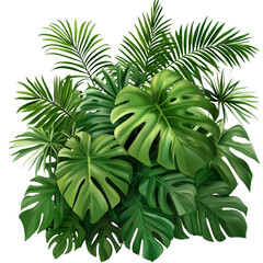  Tropical plants with green leaves on a transparent background
