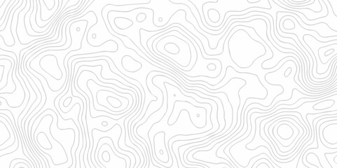 White wave paper curved reliefs abstract background. Lines Topographic contour lines map seamless pattern. Landscape geo topographic map background.	
