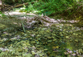 summer- hiking to the sources of a mountain river through difficult wilderness areas