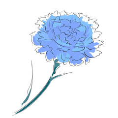 カーネーション青・母の日