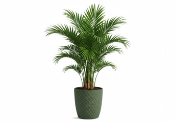 Obraz premium A potted areca palm plant with green fronds and a textured green pot against a white background space