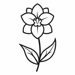 vector drawing of a flower